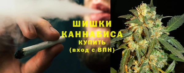 сатива Абдулино
