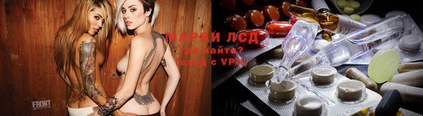 прущие грибы Абаза