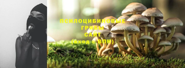 ГАЛЛЮЦИНОГЕННЫЕ ГРИБЫ Абинск