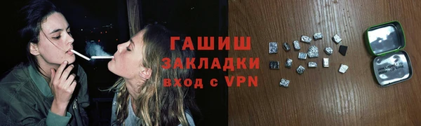 прущие грибы Абаза