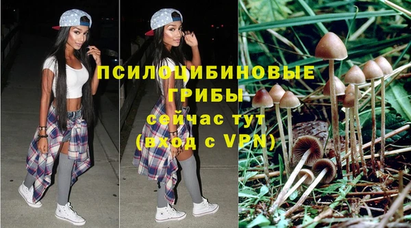 дмт Алексин