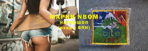 прущие грибы Абаза
