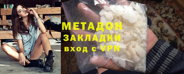 прущие грибы Абаза