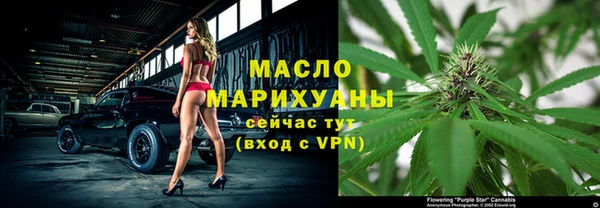прущие грибы Абаза