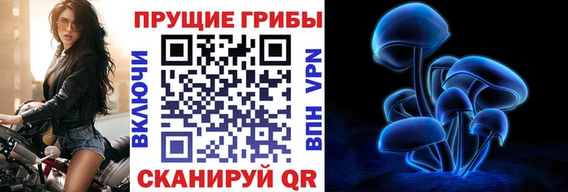 Галлюциногенные грибы ЛСД  закладки  мориарти наркотические препараты  Чехов  blacksprut онион 